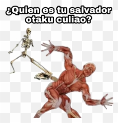 Esqueleto Antiotaku Bakau2022u2022 Stickers For Whatsapp - Esqueleto Anti Otakus Sticker Emoji,Baka Emoji