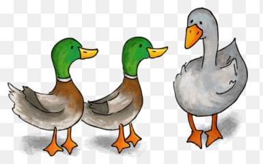 Duck Duck Goose Png Png Image With No - Duck Duck Goose Game Emoji,Duck Emoji Whatsapp