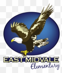 East Midvale Elementary - Bald Eagle Emoji,The Emotions Of Eagles