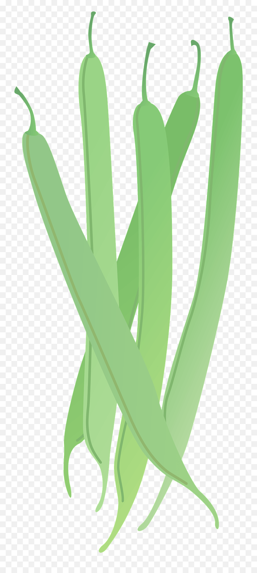 Green Beans Clipart - Fresh Emoji,Leek Emoji