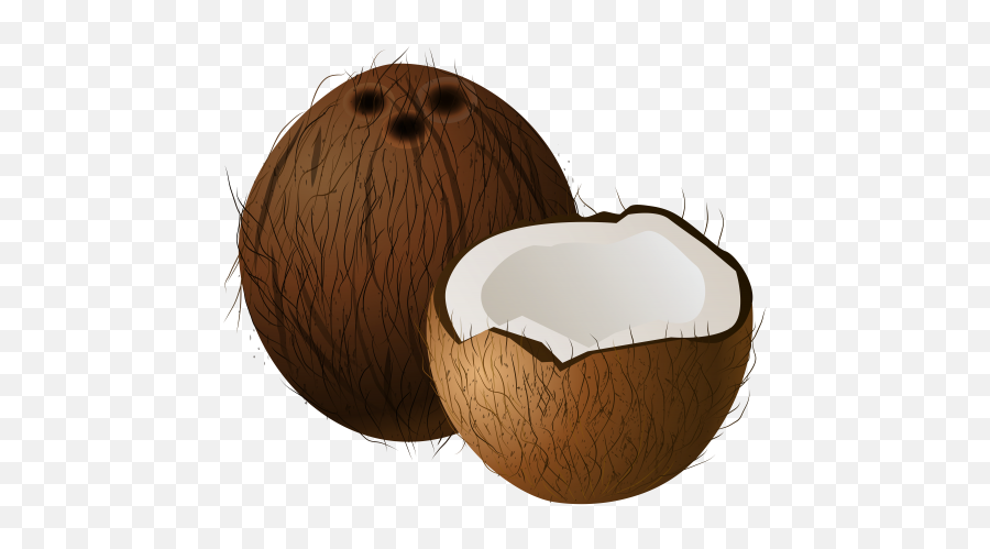 Coconuts Png Clip Art - Coconut Clipart Png Emoji,Thick Fruit Emoji