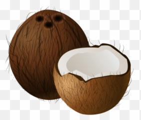 Coconuts Png Clip Art - Coconut Clipart Png Emoji,Thick Fruit Emoji