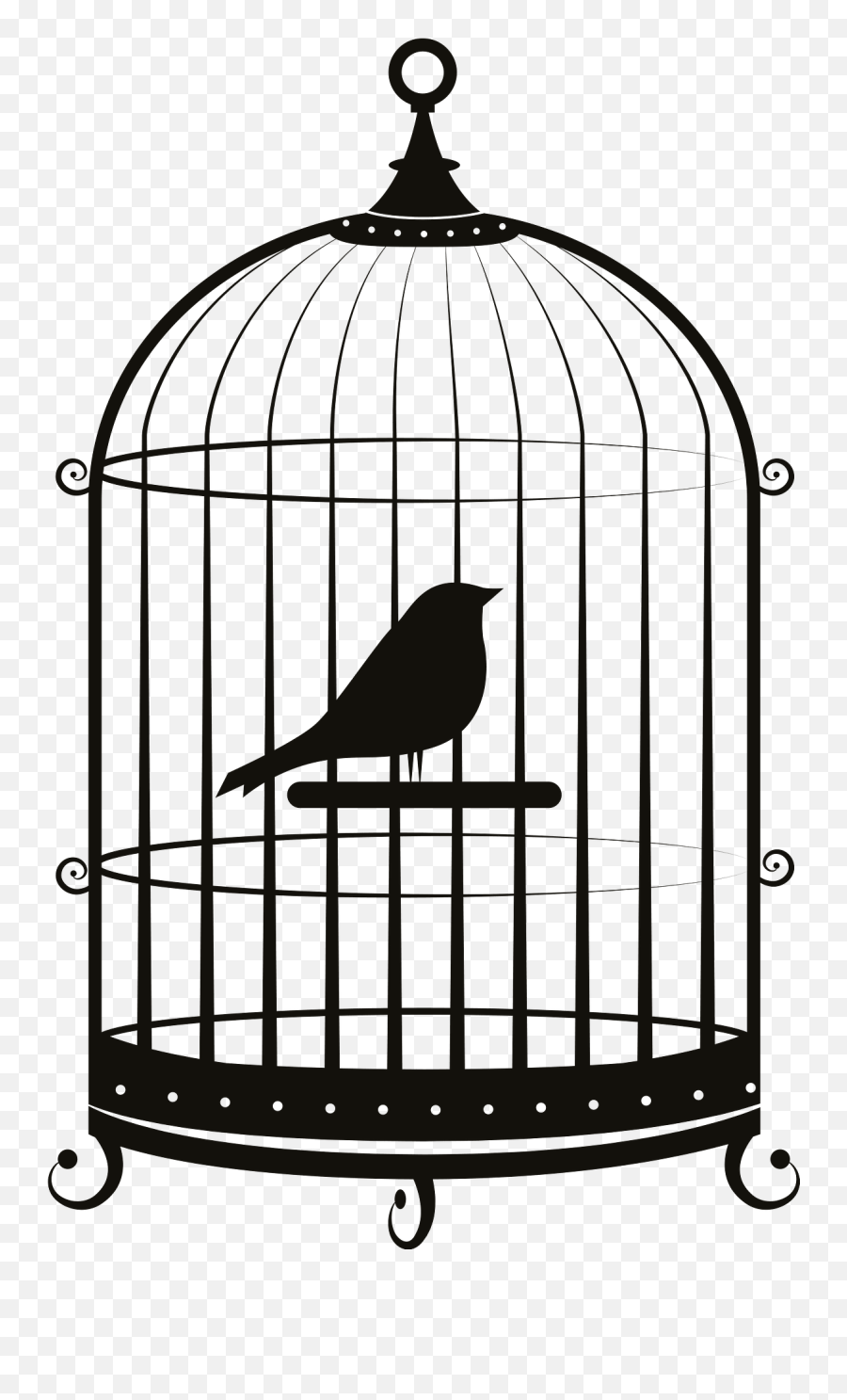 Bird In Cage Clipart Free Download Transparent Png Creazilla - Bird Inside The Cage Simple Drawing Emoji,Flying Bird Emoji