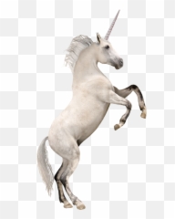 Operation Unicorn - Unicorn Emoji,Unicorn Emoticon Fb