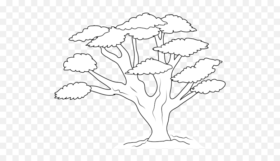 Tree Outline Coloring Page U2013 Iconmakerinfo Emoji,Emotion Color Clip Art Tree Outline Coloring Page U2013 Iconmakerinfo Emoji,Emotion Color Clip Art
