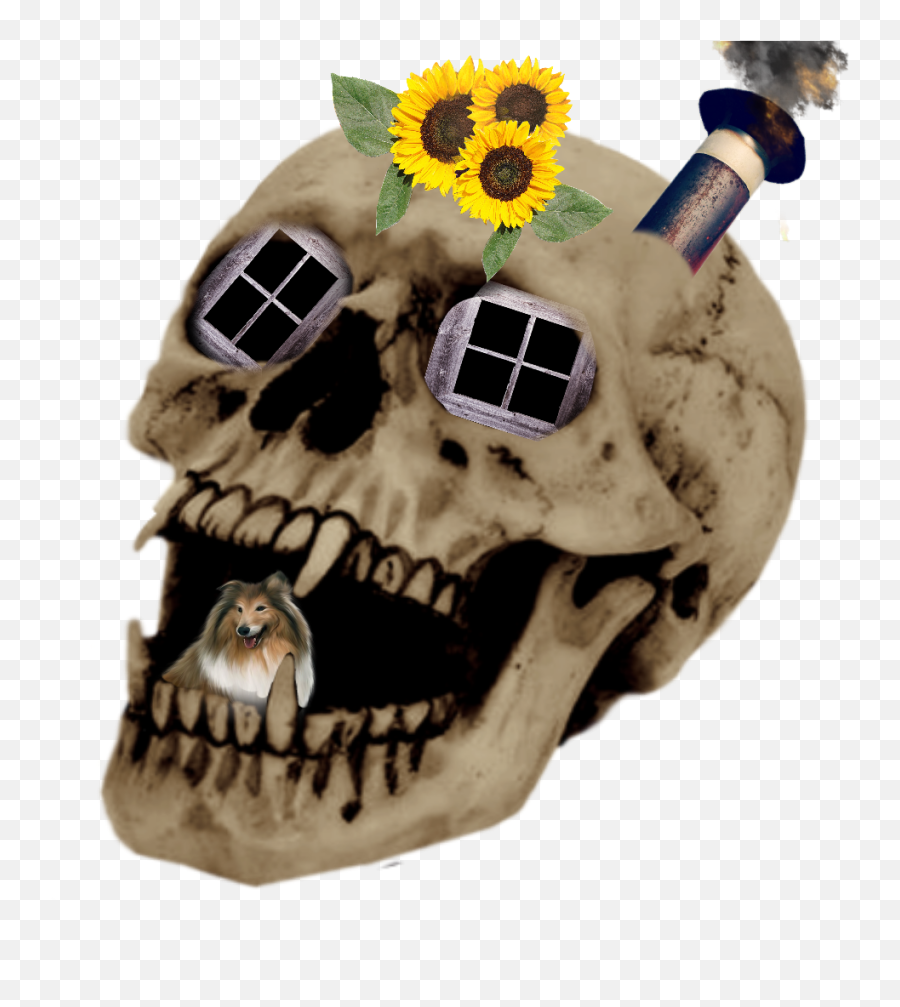 Dog Bone Skall Doghouse Sticker - Totenköpfe Emoji,Emoji Dog Bone