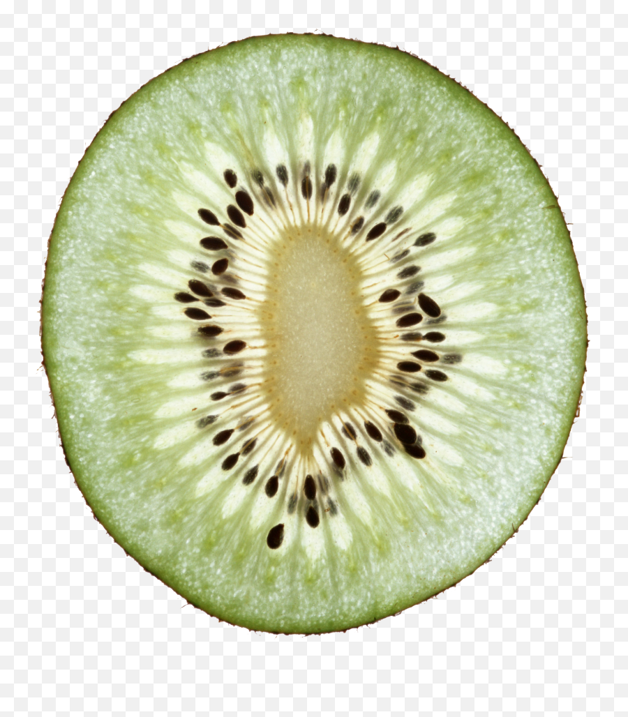 41 Kiwi Ideas Kiwi Kiwi Fruit Fruit Emoji,Whole Kiwi Emoji