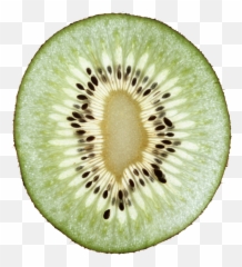 41 Kiwi Ideas Kiwi Kiwi Fruit Fruit Emoji,Whole Kiwi Emoji