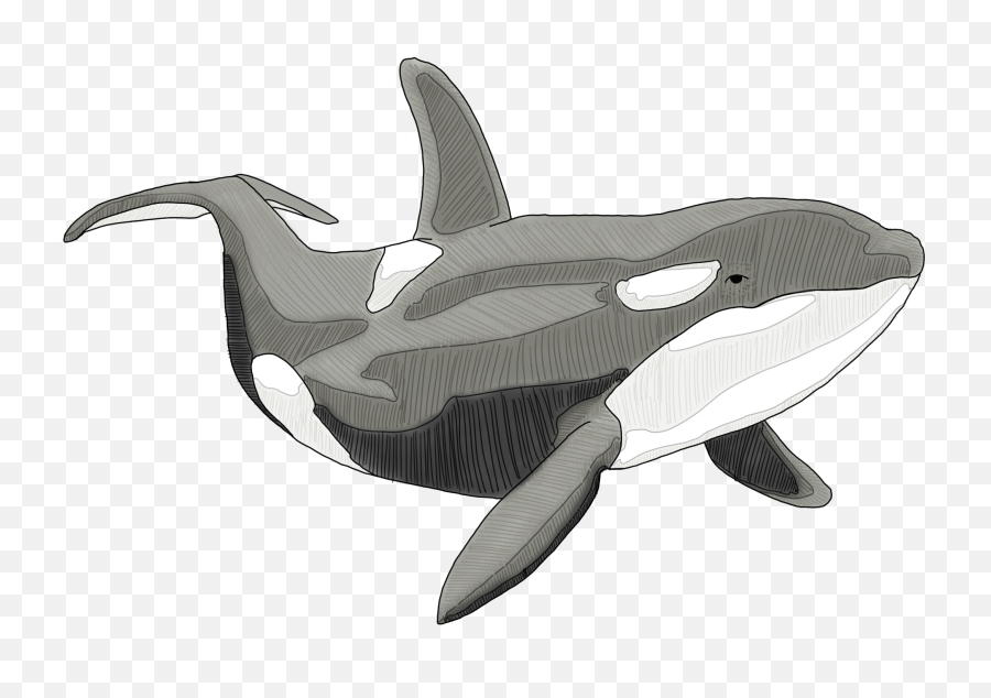 Grandpau0027s Aquarium Emoji,Diolphin Emoji