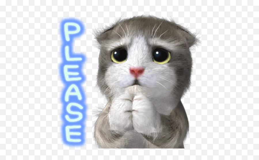 Wastickerapps Cat Meme Kawaii Cat Stickers 2019 10 Apk - Soft Emoji,Kawaii Cat Emoji