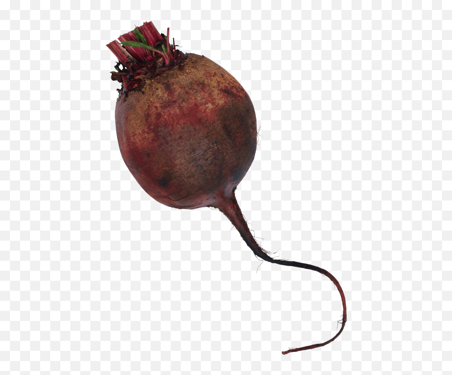 Free Png Download Beet Png Images Emoji,Beet Emoji