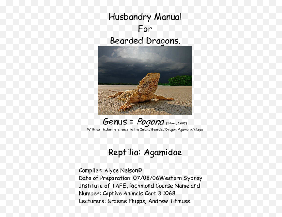 Bearded Dragons Nelson - Bearded Dragon Husbandry Profile Emoji,Do Bearded Dragons Change Color Do To Emotion