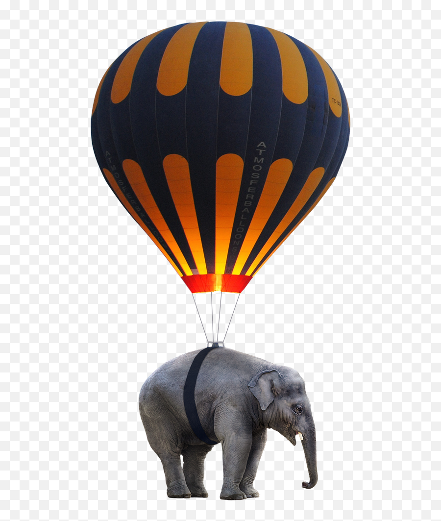 Soulcollage U0026 Oracle Cards Elephant Guides And Their Meaning - Bristol International Balloon Fiesta Emoji,Elephant Touching Dead Elephant Emotion