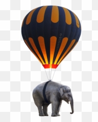 Soulcollage U0026 Oracle Cards Elephant Guides And Their Meaning - Bristol International Balloon Fiesta Emoji,Elephant Touching Dead Elephant Emotion