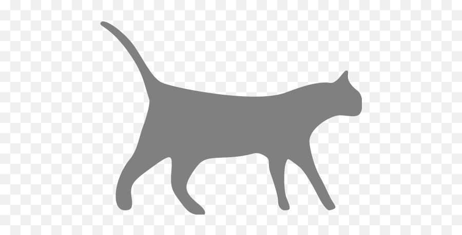 Gray Cat 3 Icon - Transparent Background Black Cat Icon Emoji,Grey Cat Emoticons For Facebook