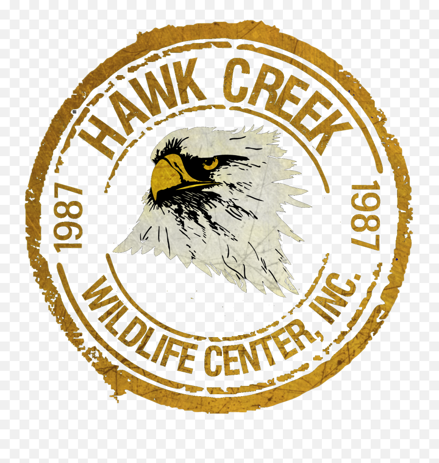 Programs - Hawk Creek Wildlife Center Snoopy Emoji,Captivating Pictures Of People And Animals, With Feelings And Emotions
