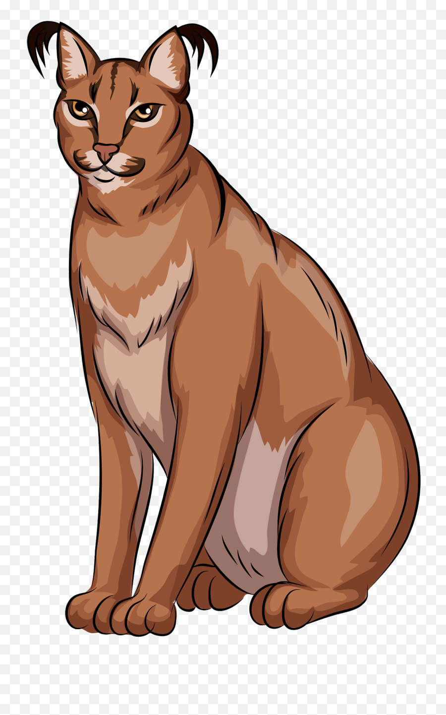 Caracal Clipart Free Download Transparent Png Creazilla - Abyssinian Cat Emoji,Mongoose Emoji