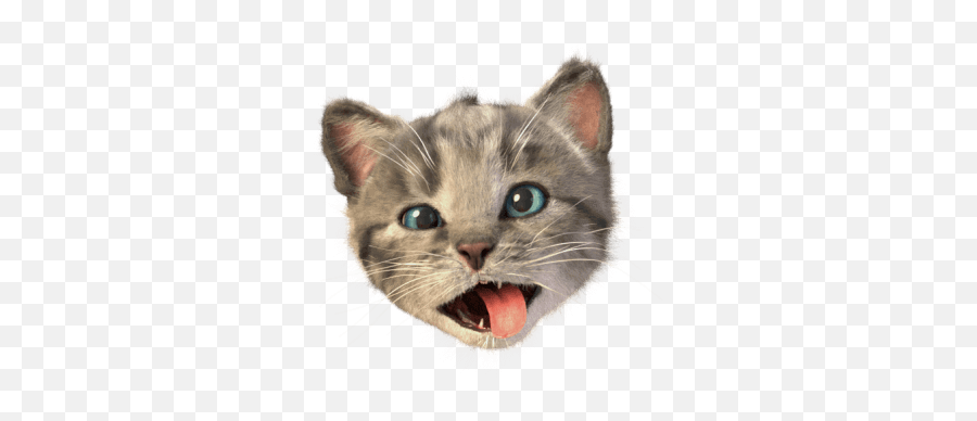 Little Kitten Stickers By Squeakosaurus Ug U0026 Co Kg - Aggression Emoji,Yawning Emoji Android