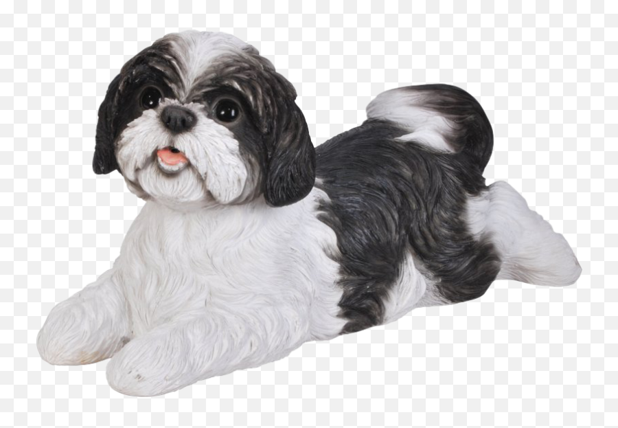 Best Cute Shah Png Image Download 2021 Whonaa - Black And White Shih Tzu Cartoon Png Emoji,Shih Tzu Emoji