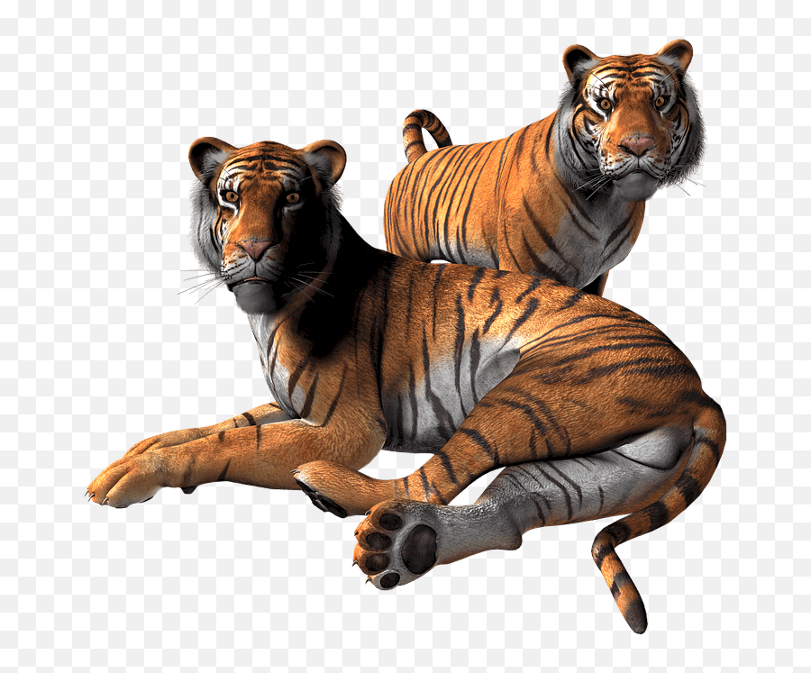 In - Tigre Render Png Emoji,Tigre Whatsapp Emoticon