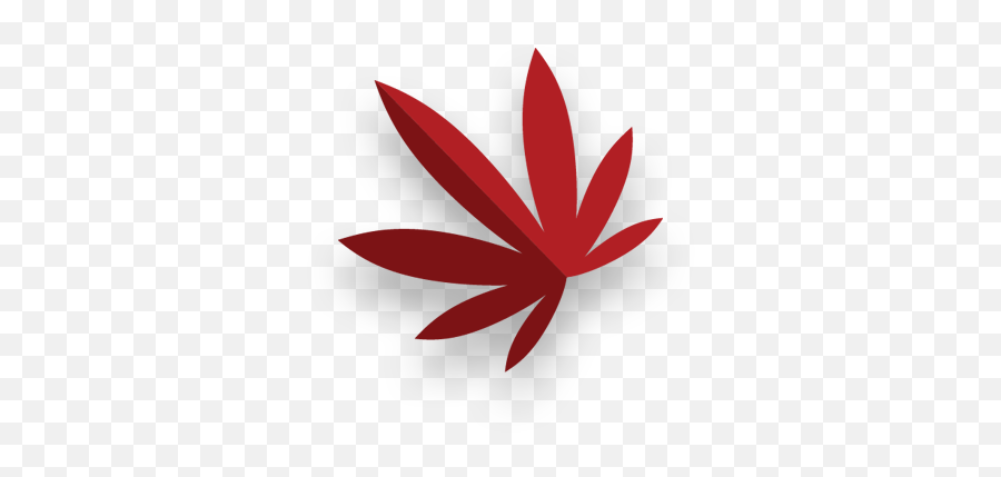 Lu0027orange Premium Flower Cannabiotix - Hemp Emoji,Cannabis Leaf Emoticons