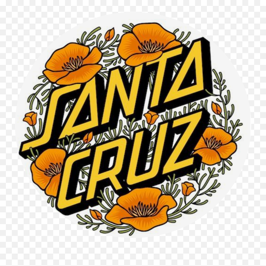 The Most Edited Santacruz Picsart - Santa Cruz Emoji,Antz In Emojis