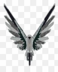 Birds Bird Parrot Parrots Sticker - Accipitridae Emoji,Logan Paul Emoji