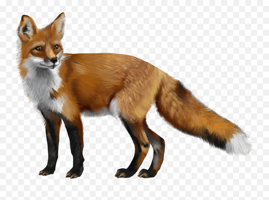 Discover Trending Fox Stickers Picsart - Red Fox Emoji,Hunting Foxes Emoticons