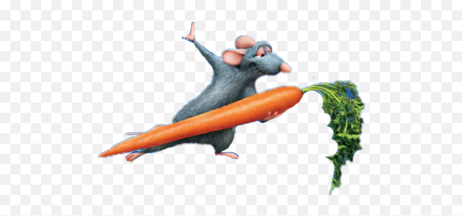 Carrot Sticker - Ratatouille Png Logo Emoji,Find The Emoji Ratatouille