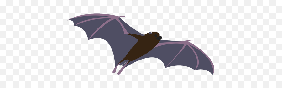 Flying Bat T Shirt Designs Graphics - Murcielago Dibujo Diferentes Posiciones Emoji,Flying Bat Emoticon
