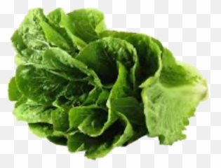 Lettuce Let Us Sticker - Lettuce Emoji,Lettuce Emoji