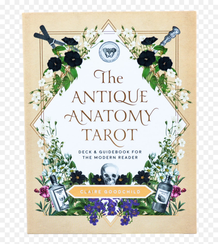 The Antique Anatomy Tarot - Deck U0026 Guidebook For The Modern Reader By Claire Goodchild Emoji,Card Deck Chakras Emotions