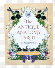 The Antique Anatomy Tarot - Deck U0026 Guidebook For The Modern Reader By Claire Goodchild Emoji,Card Deck Chakras Emotions
