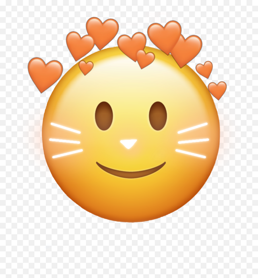 Cat Gato Bigode Emoji Crown Sticker By Álysse Alencar,Happy Cat Face Emoticon