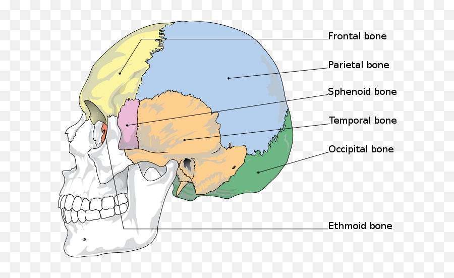 Deep Into The Head Covering Question Emoji,Miracles I Second That Emotion Wiki