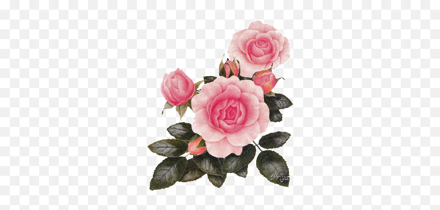 Rosegif 337360 Beautiful Flowers Pictures Flowers Emoji,Imagea Of Flower Emojis