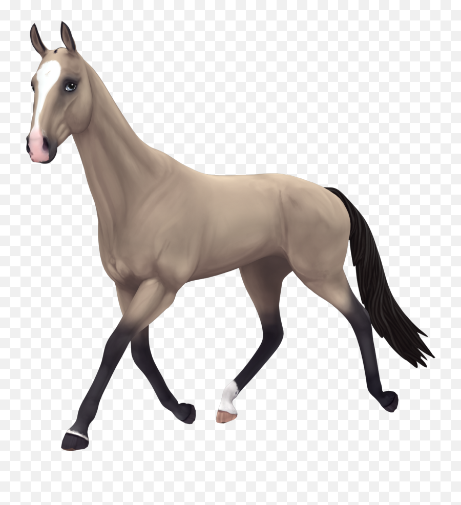 Star Stable Stickers - Star Stable Buttermilk Buckskin Akhal Teke Emoji,Horse Emoji App