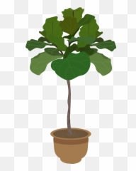 Buncee - Athome Planting Journal Emoji,Houseplant Emoji