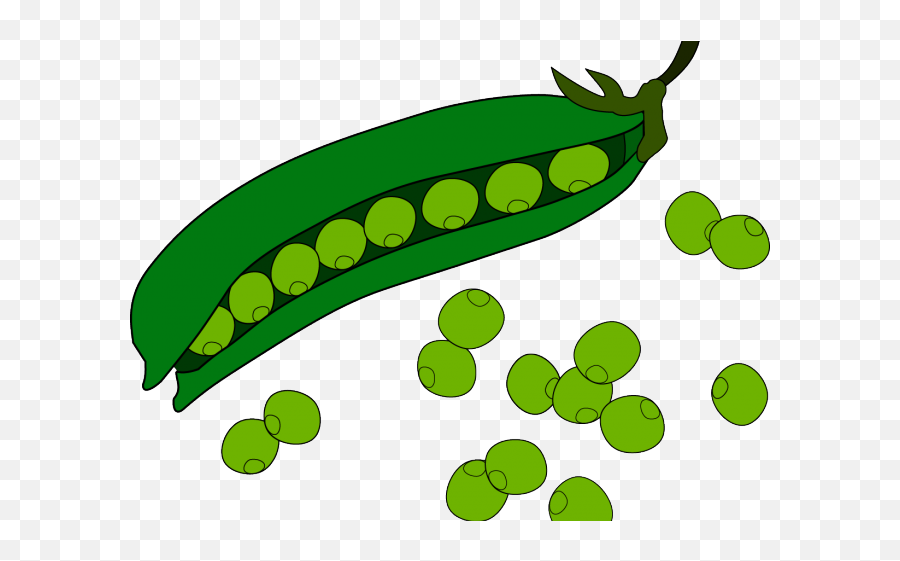 Transparent Green Beans Clipart - Clipart Green Bean Emoji,Green Bean Emoji