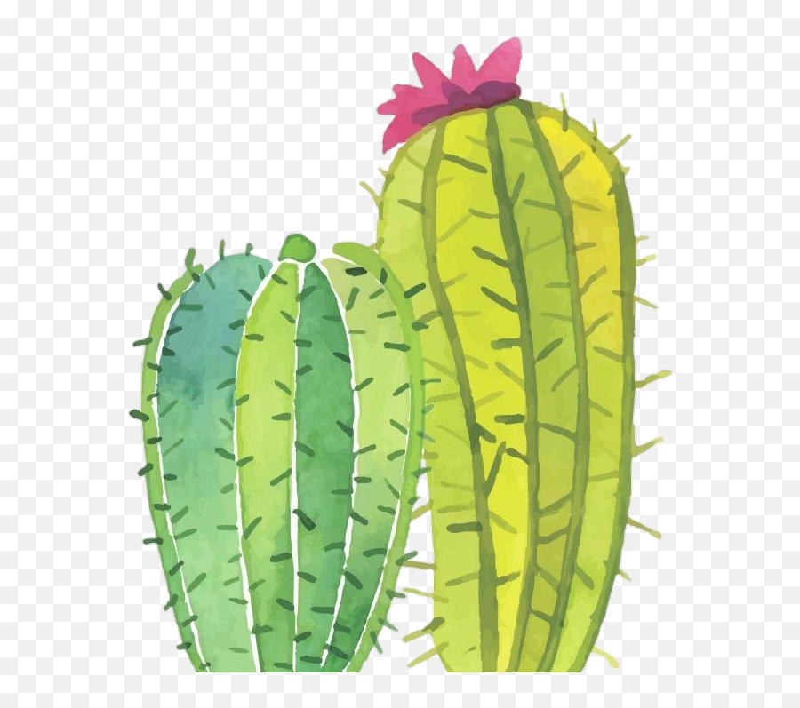 Cactus Png Tumblr - Cactus Png Emoji,Cactus Emoji Png