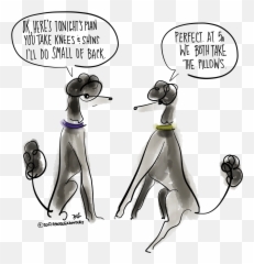 450 Standard Poodles Ideas Standard Poodle Poodle Poodle Dog - Comics Emoji,Dog Ear Emotions