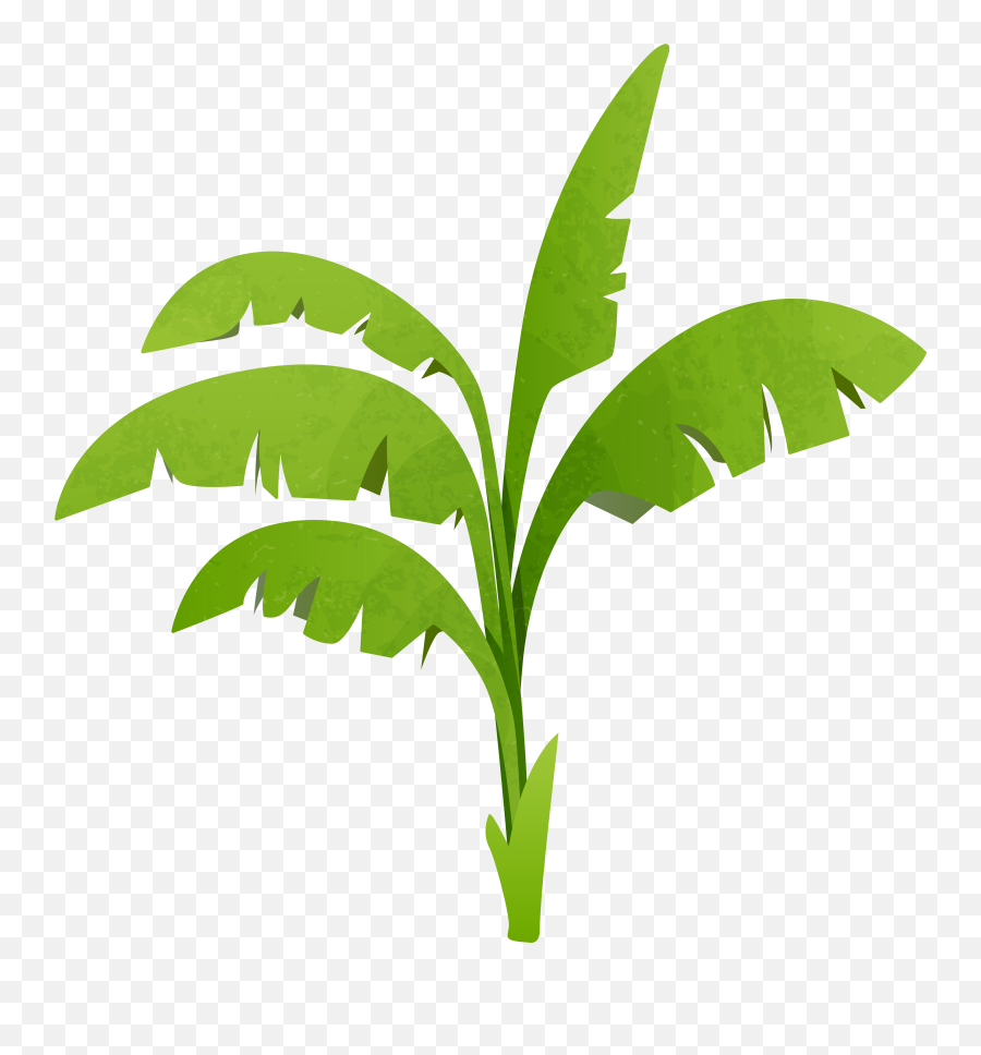 Plants Vs Zombies 2 Itu0027s About Time Plants Vs Zombies - Banana Tree Png Clip Art Emoji,Plants Vs Zombies Emoji
