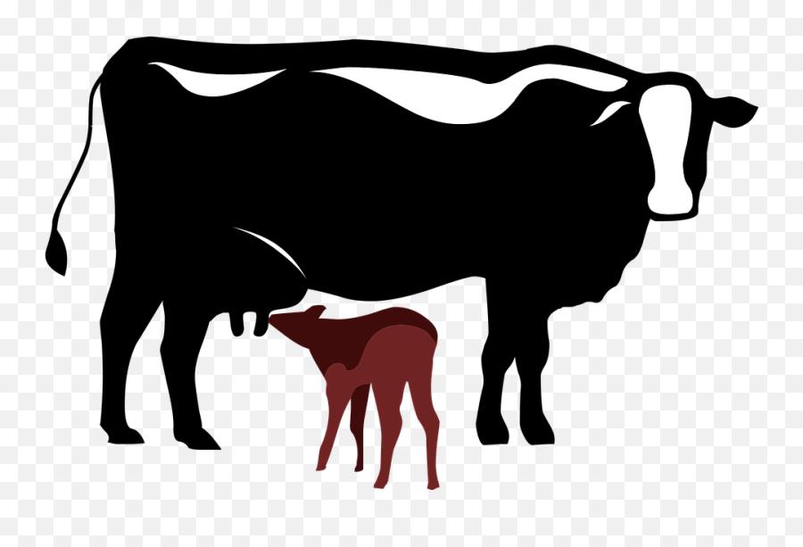 Cow Calf Symbol - Cow And Calf Vector Png Emoji,Cow Showing Emotion