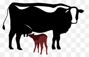 Cow Calf Symbol - Cow And Calf Vector Png Emoji,Cow Showing Emotion