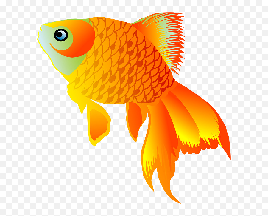 Play The Fishbowl Game Aka Salad Bowl - Online U0026 Free Goldenfish Png Emoji,Emoticon Charades Uncharted