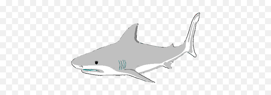 Fish A Quick Course On The Biology Of Fishes Ichthyology - Great White Shark Emoji,Shark Emoticon Shortcut