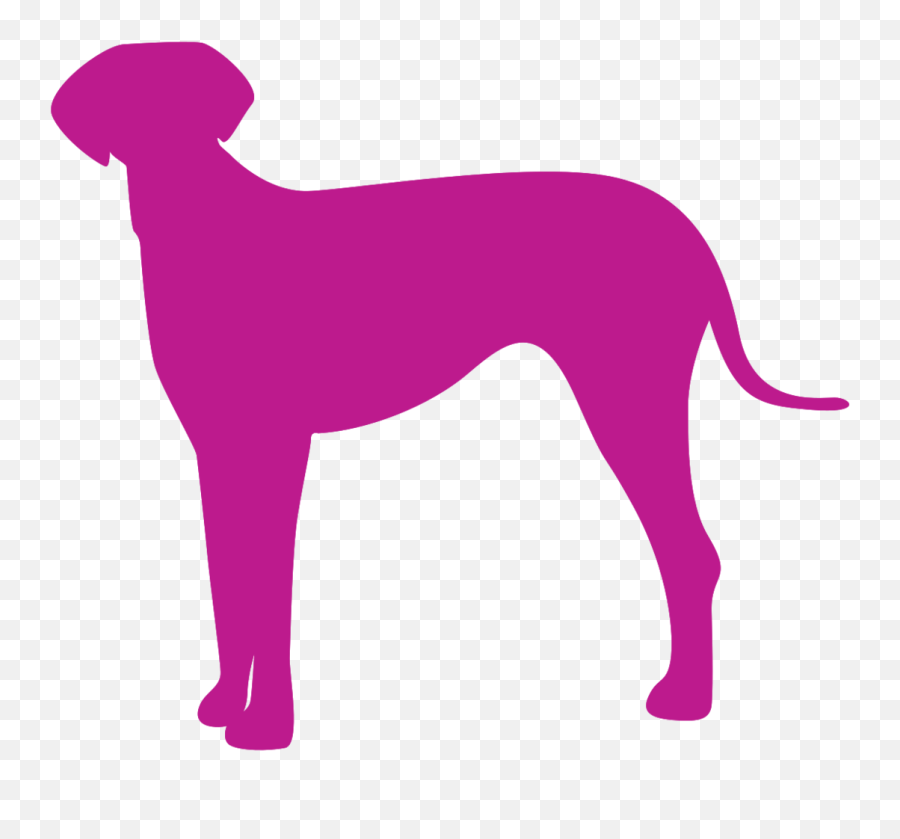 Dog 1200045 Png With Transparent Background - Rampur Greyhound Emoji,Dogy Emojis With Pink Bachround