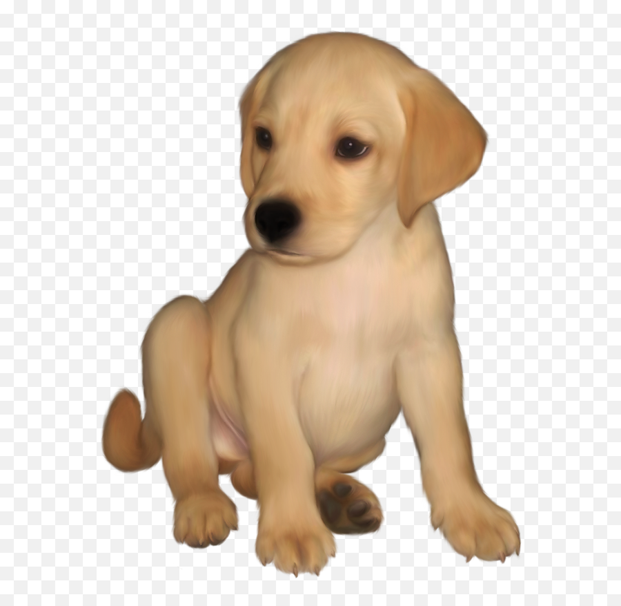 Painted Small Yellow Labrador Retriever - Small Dogs Transparent Emoji,Huell Emoticon