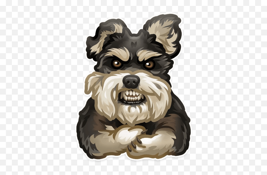 Just Zoo - Schnauzer Sticker Telegram Emoji,Mini Schnauzer Emojis