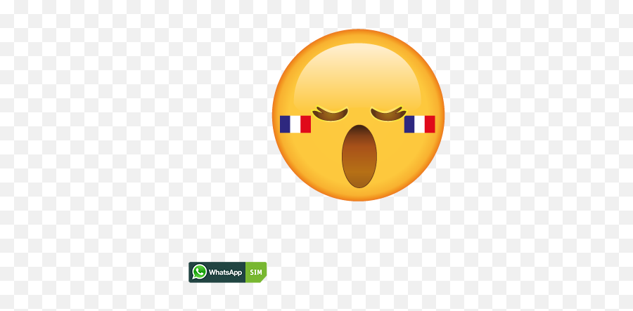 Whatsapp Sim Smiley Creator - Happy Emoji,Makeup Emoji